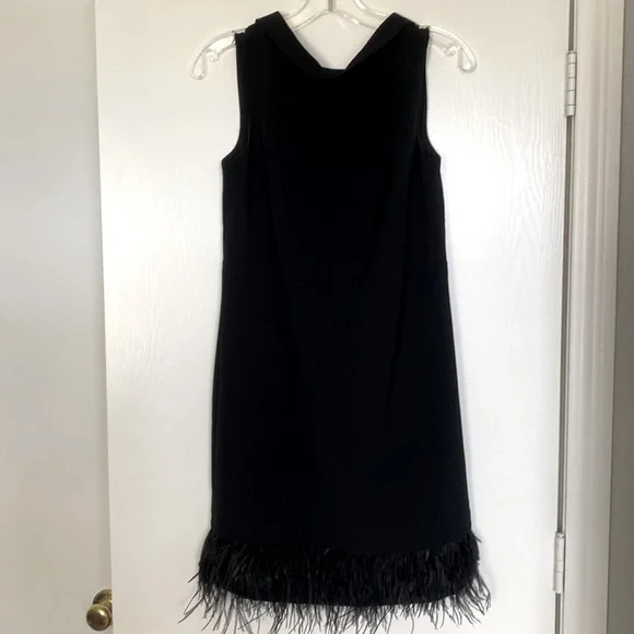 princess polly baby blue dress Prada Feather-Trimmed Silk Dress in Black  UFO No More